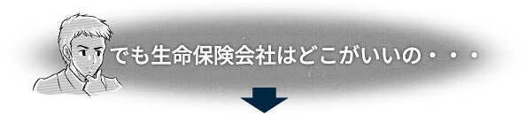 でも生命保険会社はどこがいいの・・・